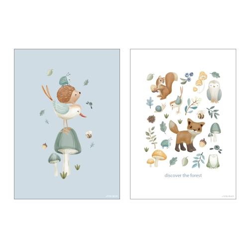 Poster Größe A3 Forest Friends Waldwunder Studio Aufnahme