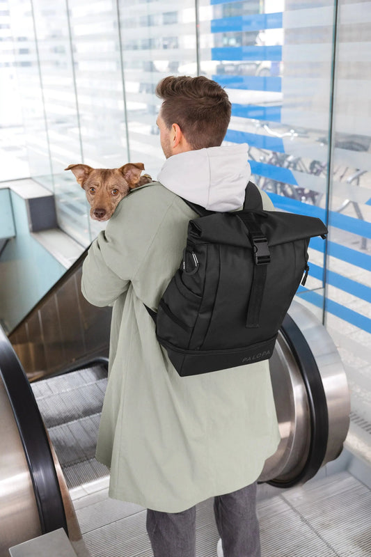 Palopa Rolltop Rucksack - Yoska Schwarz