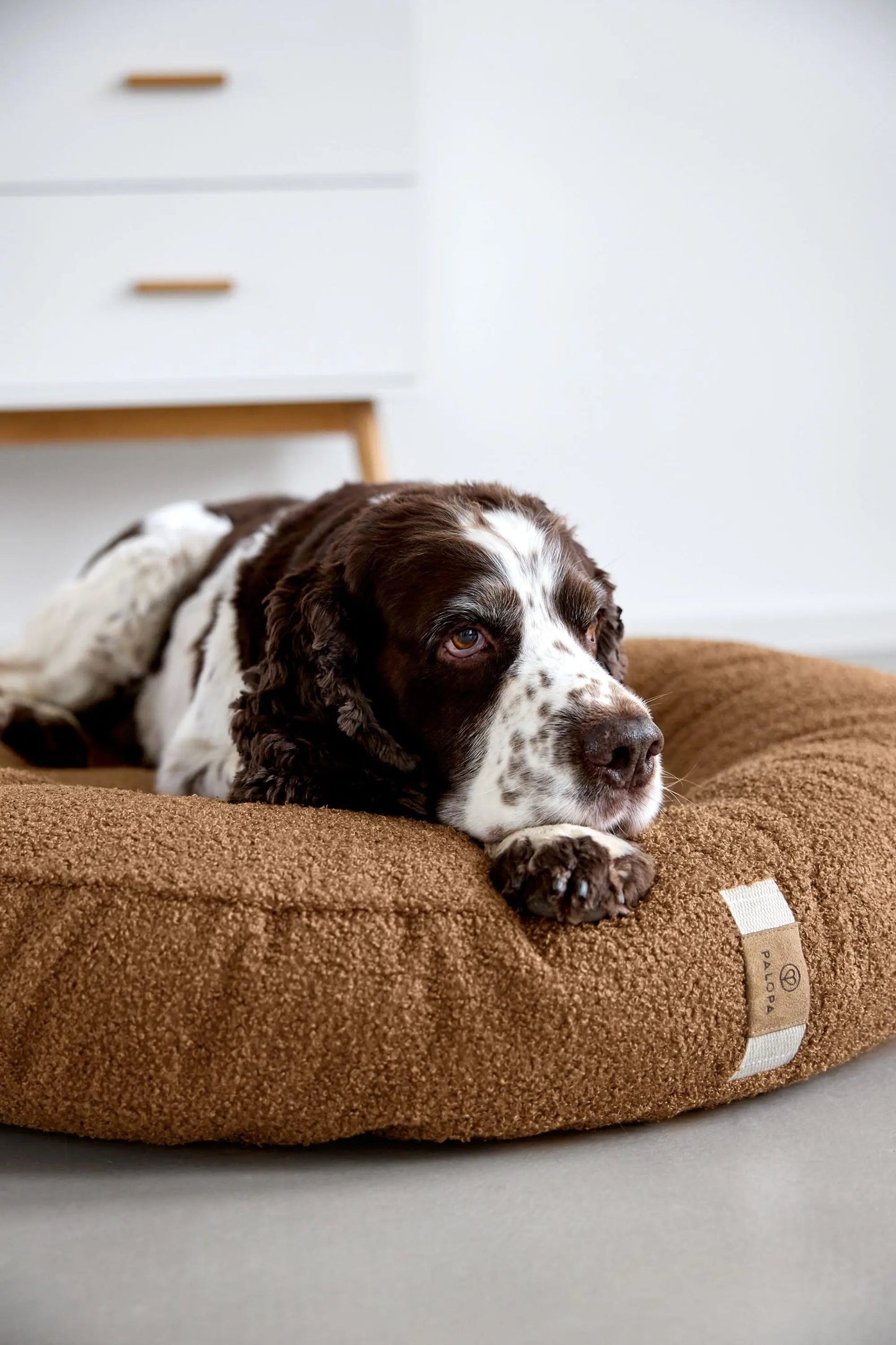 Palopa Hundebett Rund - Fippa Braun