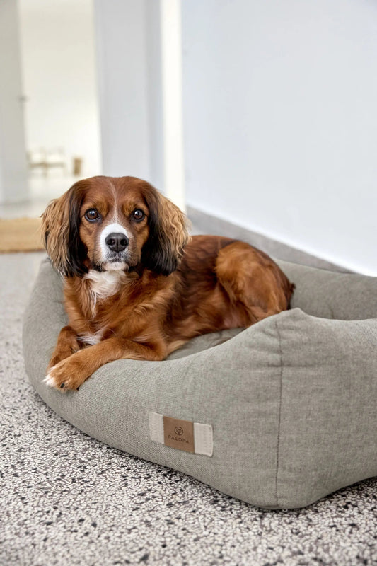 Palopa Hundebett Baumwolle - Fred Grau