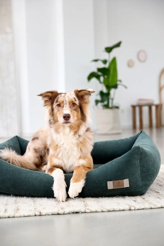Palopa Hundebett Baumwolle - Fred Dunkelgrün