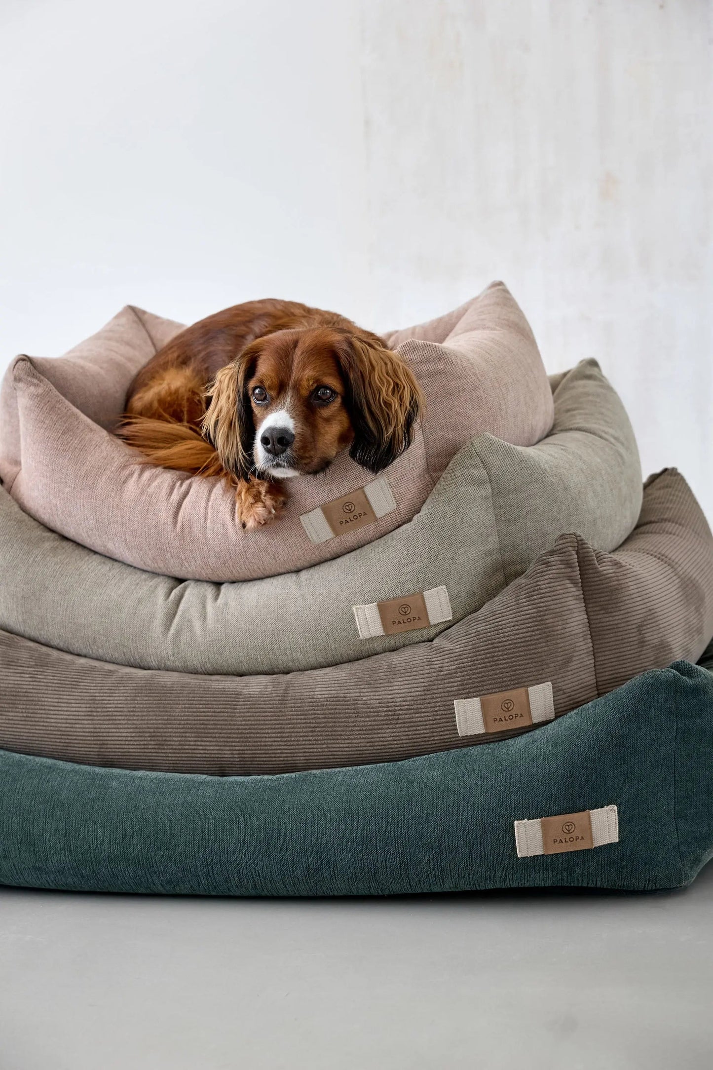 Palopa Hundebett Baumwolle - Fred Grau