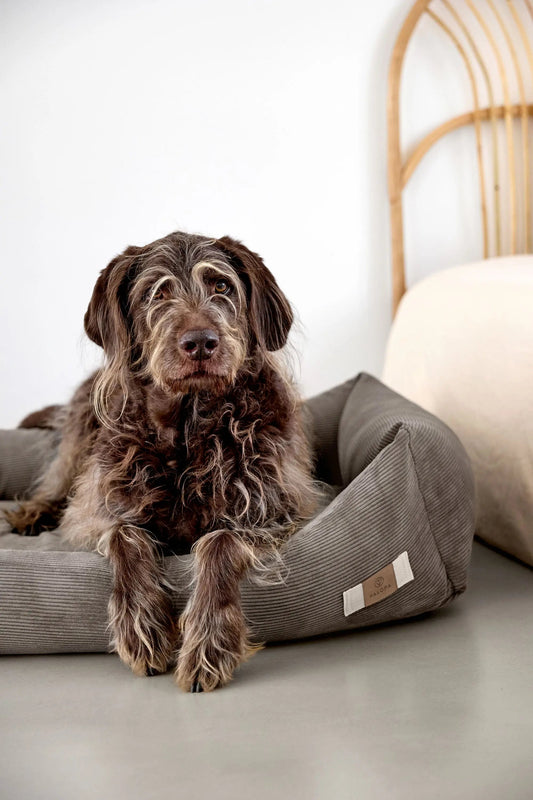 Palopa Hundebett Cord - Fred Braun