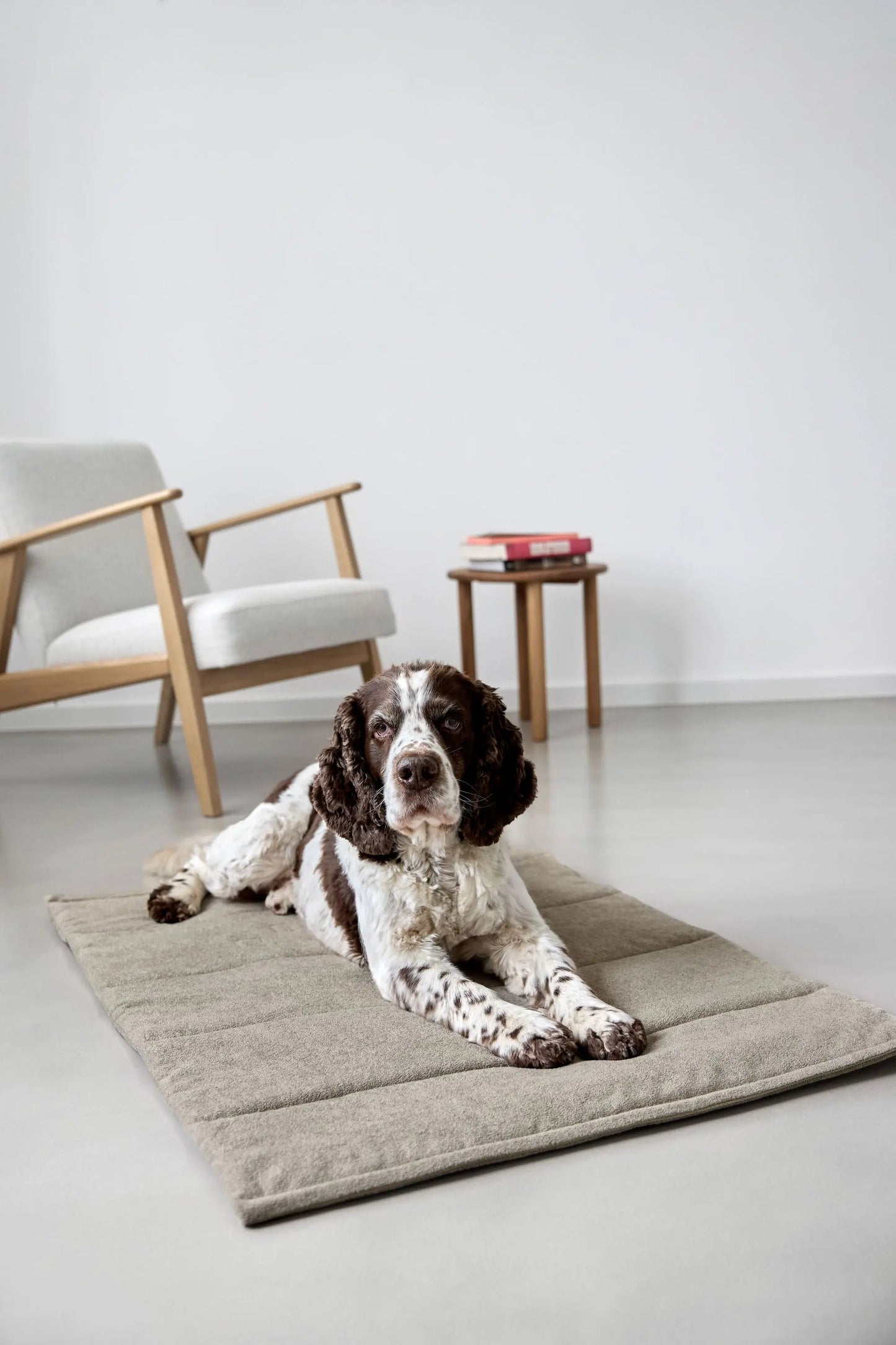 Palopa Hundematte - Alma Beige