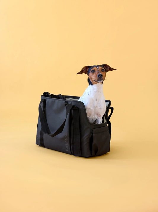 Palopa Hundetasche - Weda Schwarz