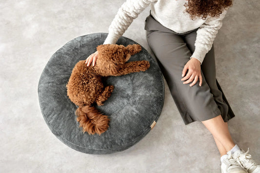 Palopa Hundebett Rund - Fippa Anthrazit