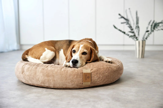 Palopa Hundebett Rund - Fippa Humus