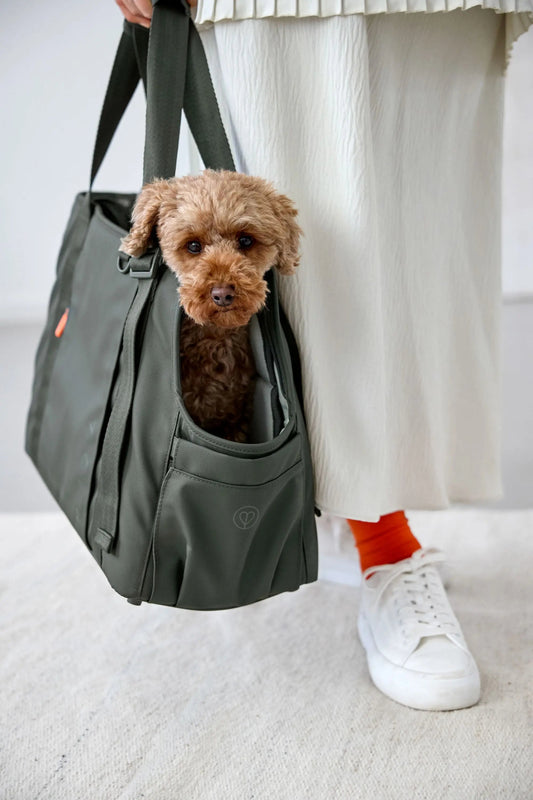 Palopa Hundetasche - Weda Dunkelgrün