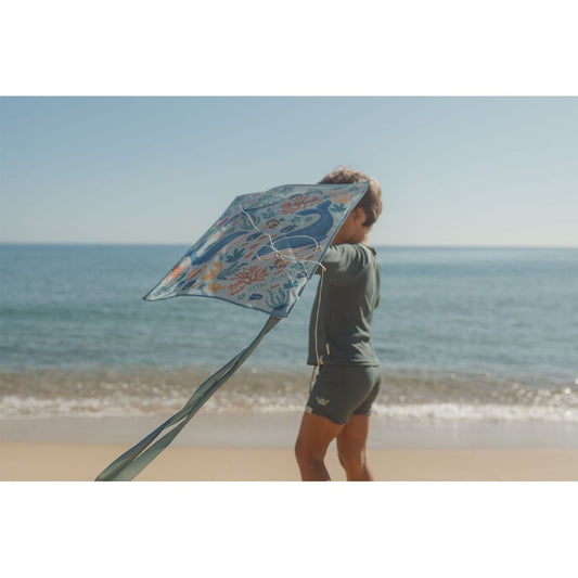 Little Dutch Ocean World Winddrachen