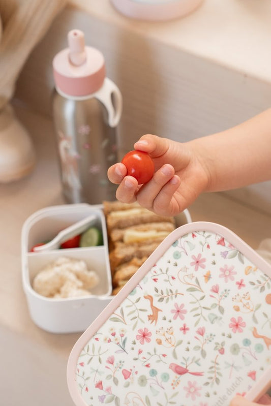 Little Dutch Rosa Brotdose Campus Fairy Wonders