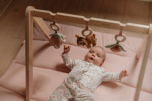 Little Dutch Rosa Spieltrapez Holz Fairy Garden