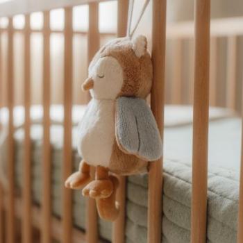 Little Dutch Spieluhr Eule - Forest Friends