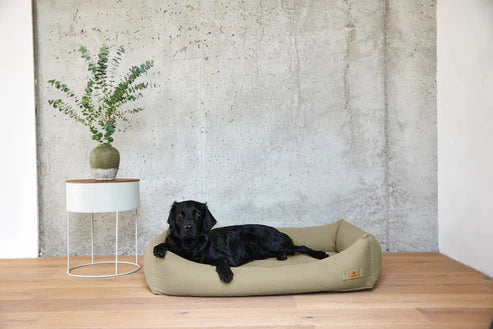 Hundebett