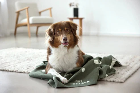 Mit PALOPA erhältst Du nachhaltige Hundebetten, Decken & Matten