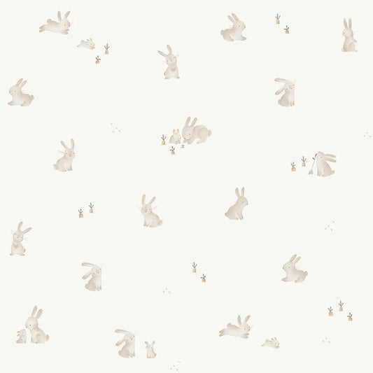 Vlies Tapete Baby Bunny Studio Aufnahme