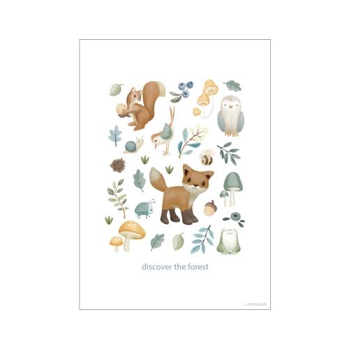 Poster Größe A3 Forest Friends Waldwunder Detail 5
