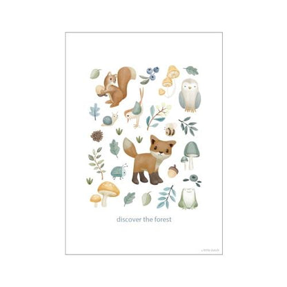 Poster Größe A3 Forest Friends Waldwunder Detail 5