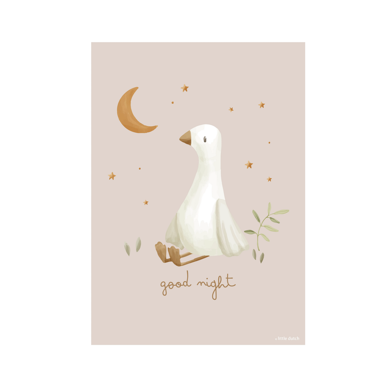 Poster A3 Kleine Gans Baby Hase Studio Aufnahme