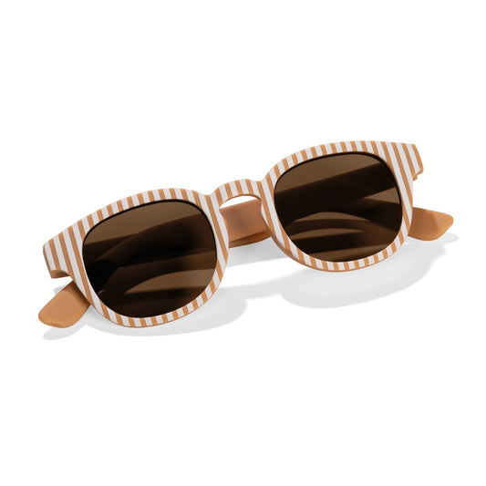 Sonnenbrille Braun Streifen Studio Aufnahme