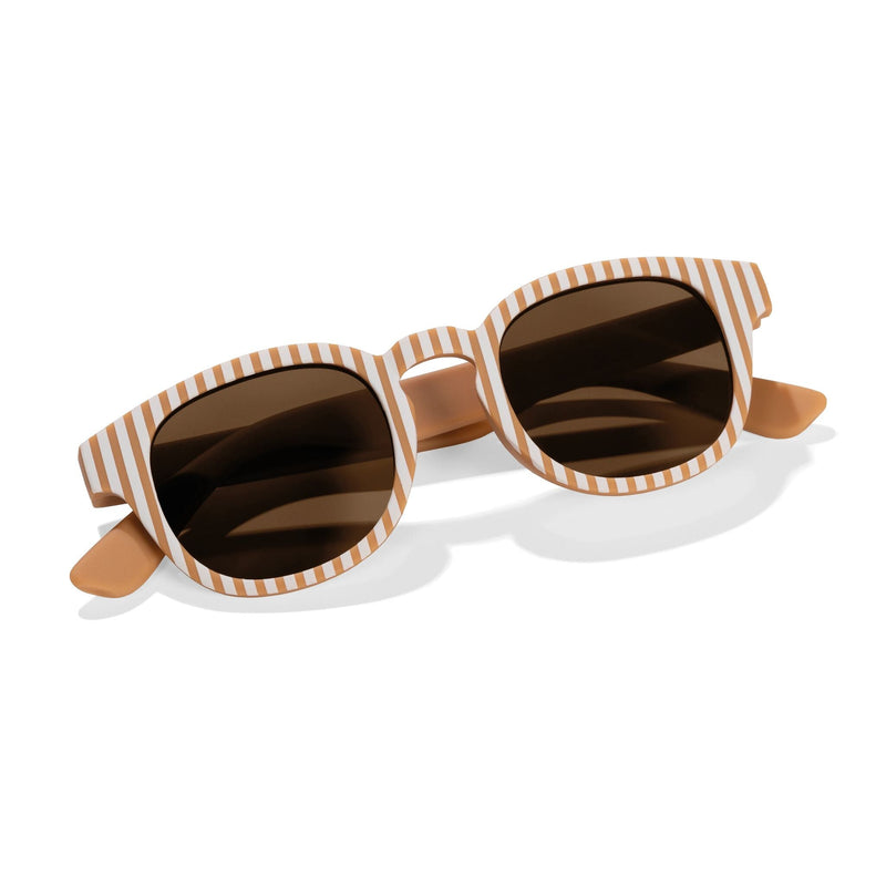 Sonnenbrille Braun Streifen Studio Aufnahme