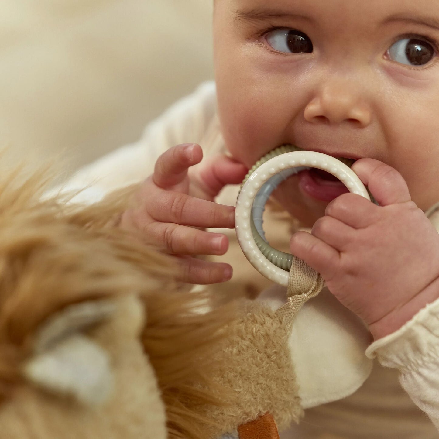 Aktivitätenkuscheltier Löwe Ansicht 8