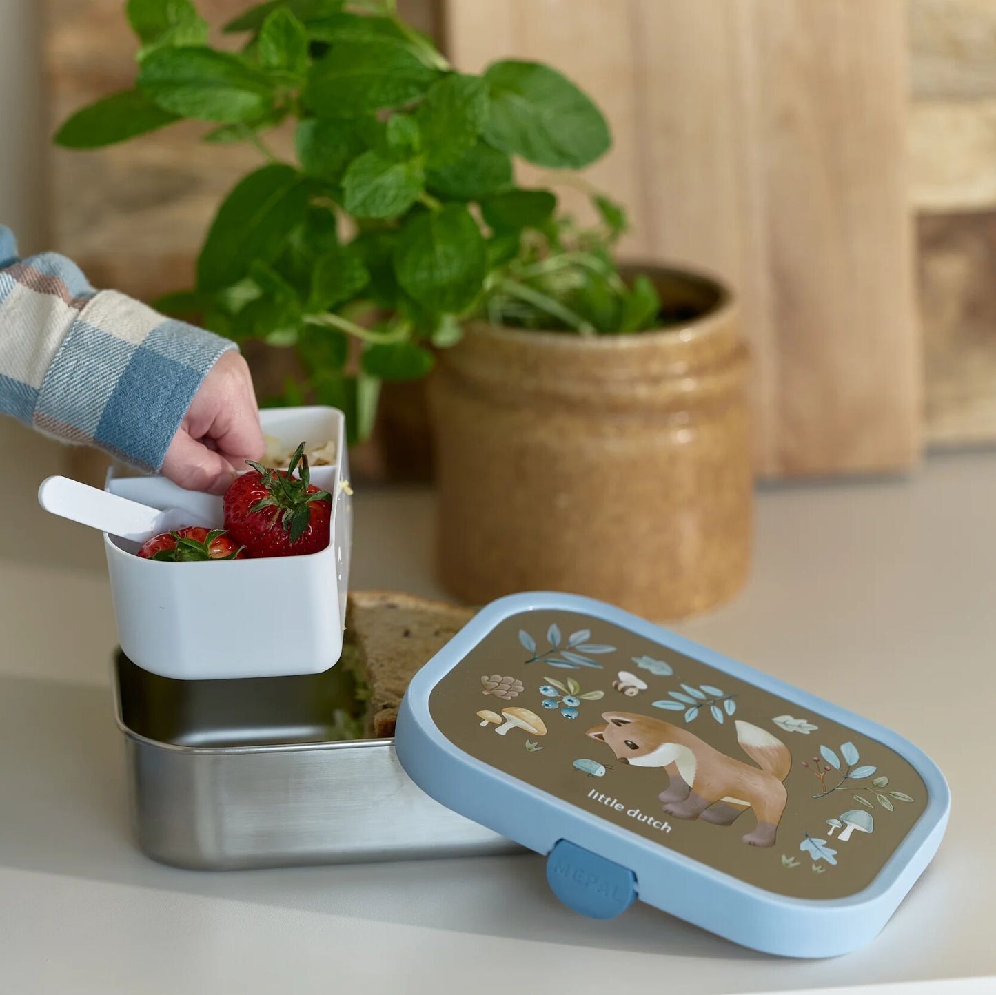 Mepal Edelstahl Bento Brotdose Forest Friends Weiß, Detailansicht des Bento Einsatzes mit Fächerteilung