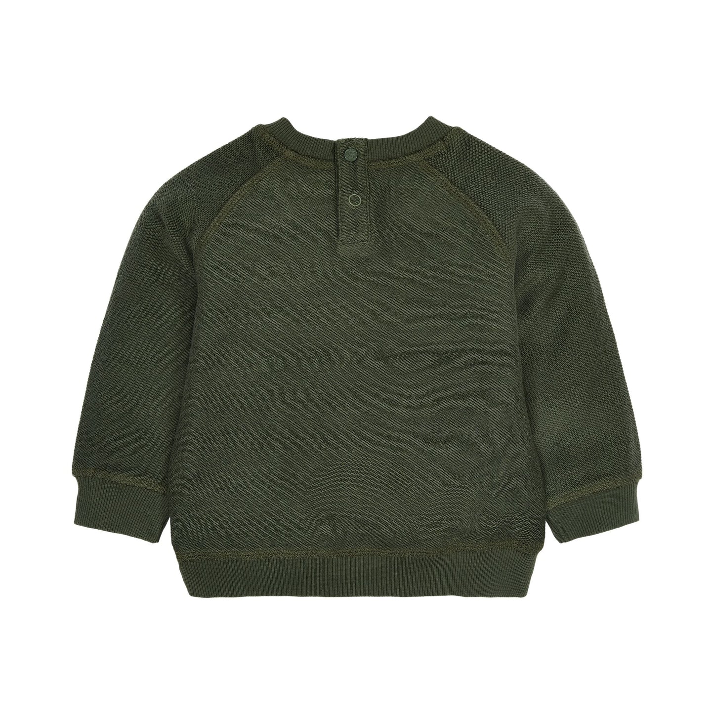 Pullover Grün mit Animal Print Little Dutch Detail