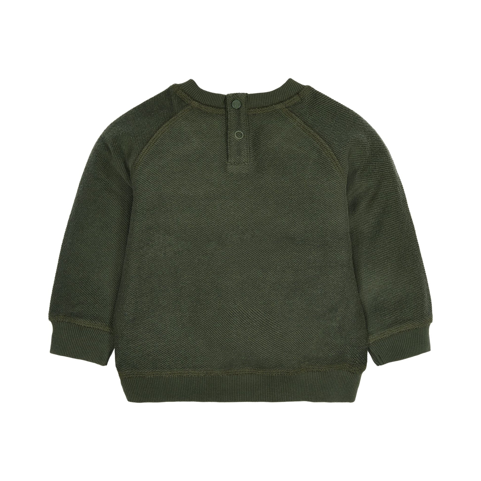 Pullover Grün mit Animal Print Little Dutch Detail
