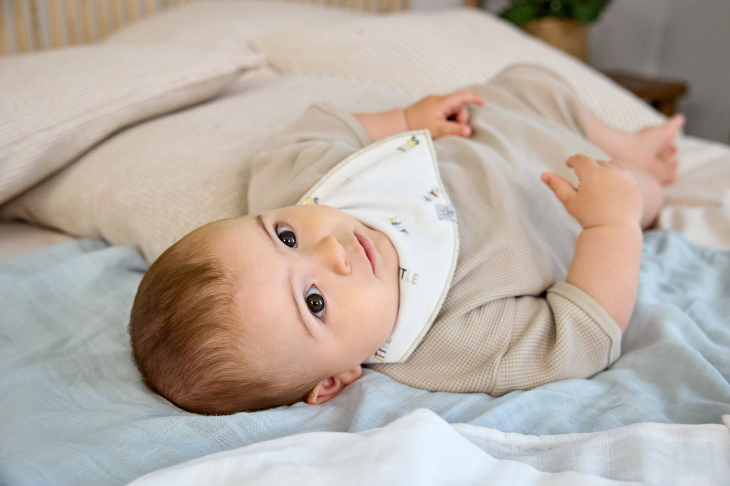 Lässig Dreieckstuch Baby (2 Stk) Bandana, Happy Fruits Zitrone Rückansicht