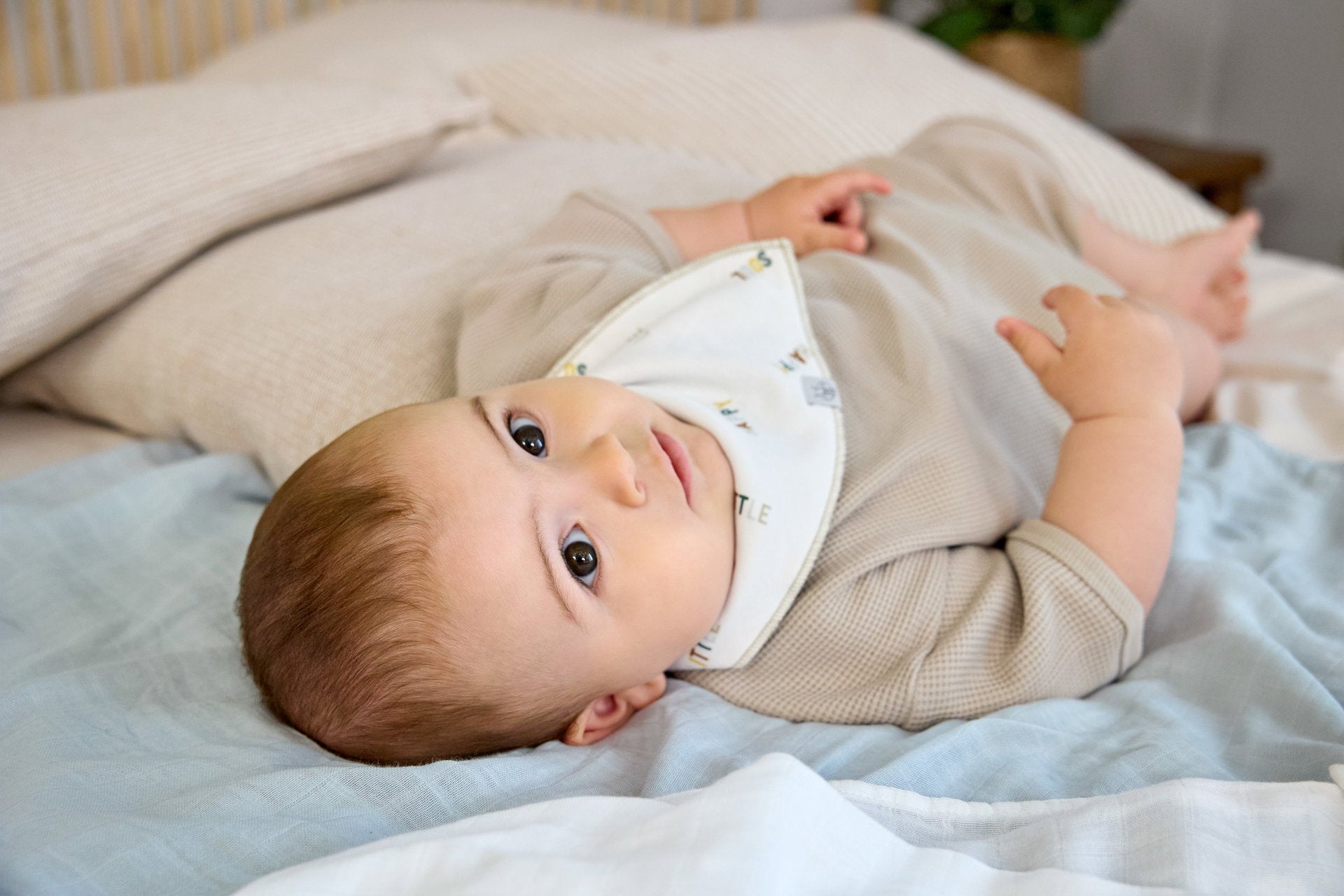 Lässig Dreieckstuch Baby (2 Stk) Bandana, Happy Fruits Zitrone Rückansicht