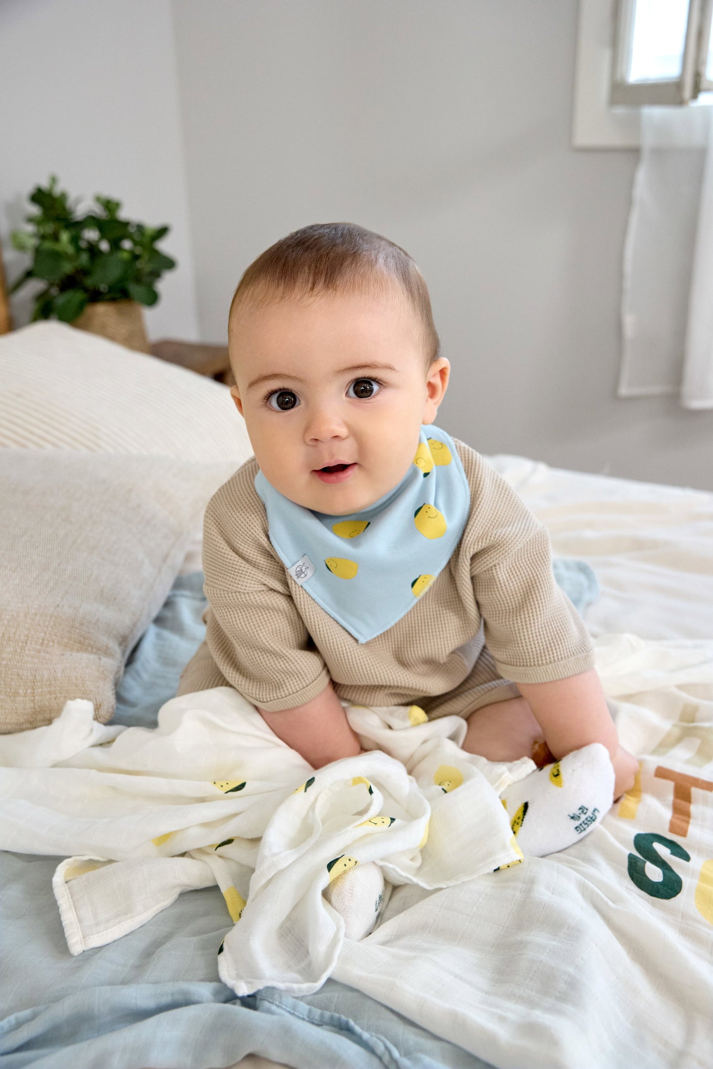 Lässig Dreieckstuch Baby (2 Stk) Bandana, Happy Fruits Zitrone Lifestyle Bild