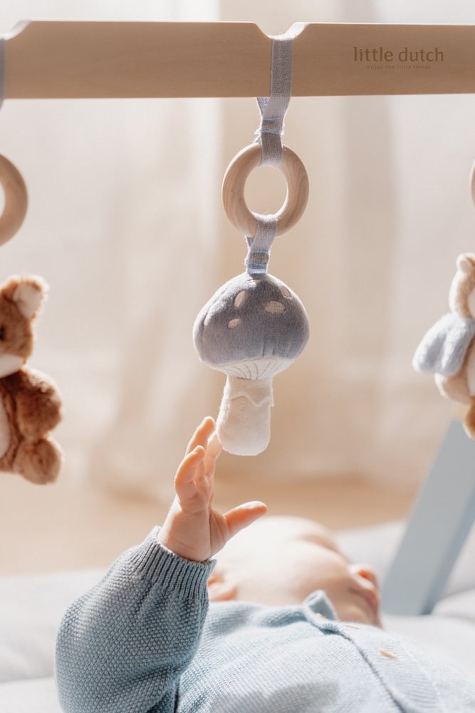 Little Dutch Blau Spieltrapez Holz Forest Friends