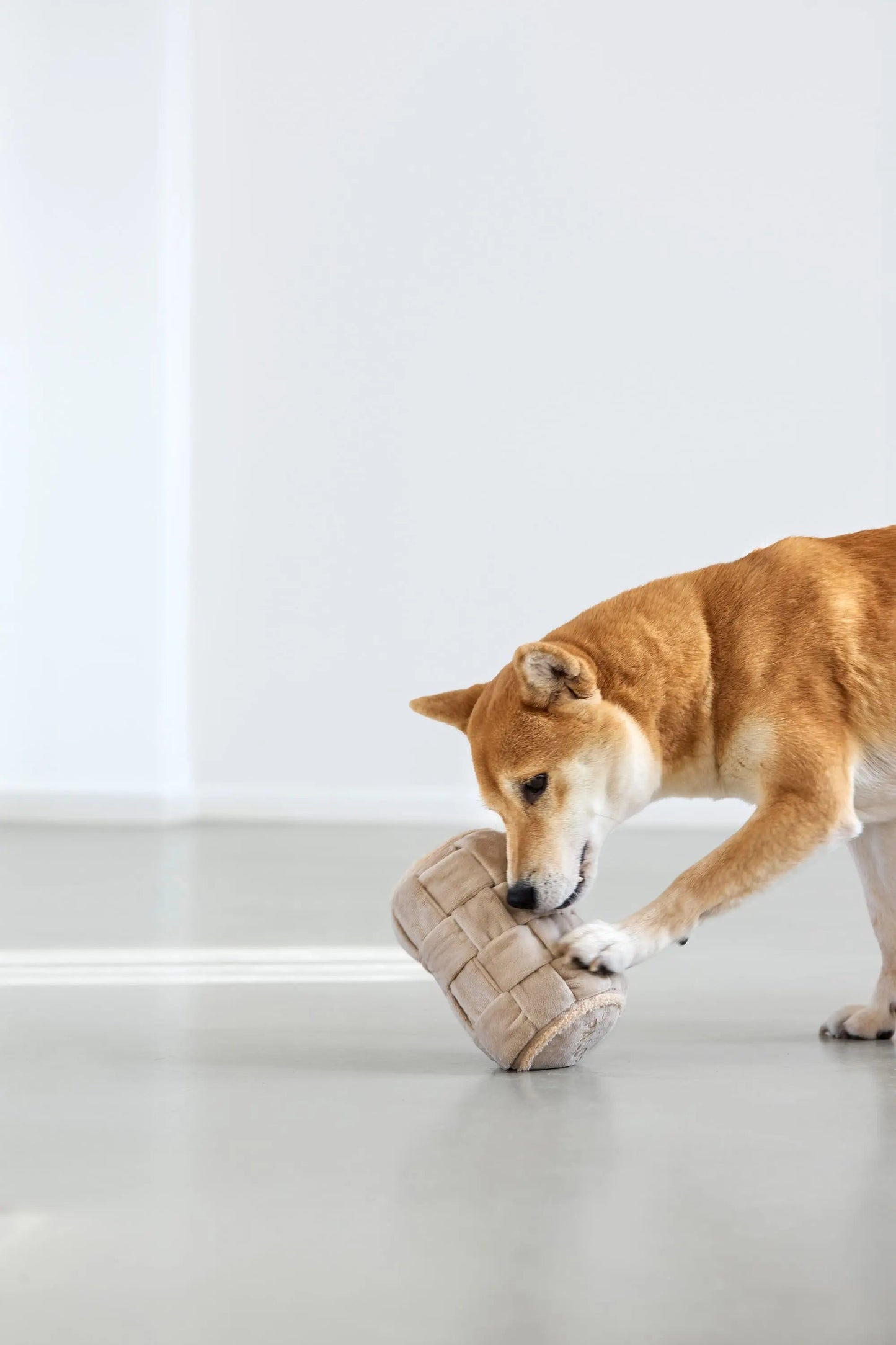 Palopa Hundespielzeug - Kalpi Beige