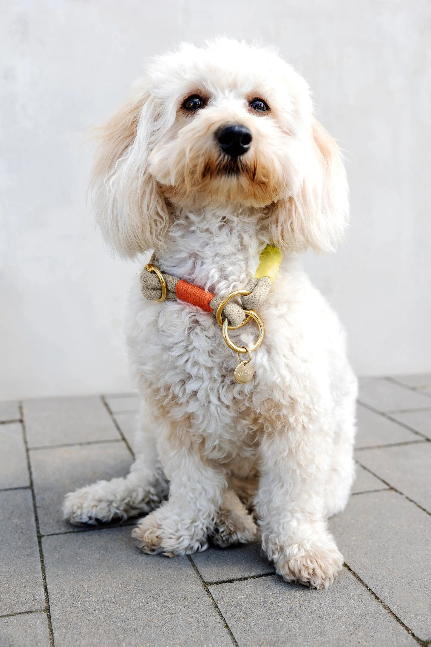 Palopa Hundehalsband Slim - Mila Natur Neon Orange