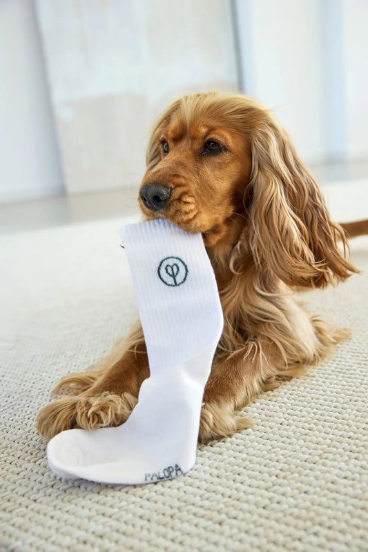 Palopa PALOPA Tennis Socken 3er Set - Logo Orange Blue Grey