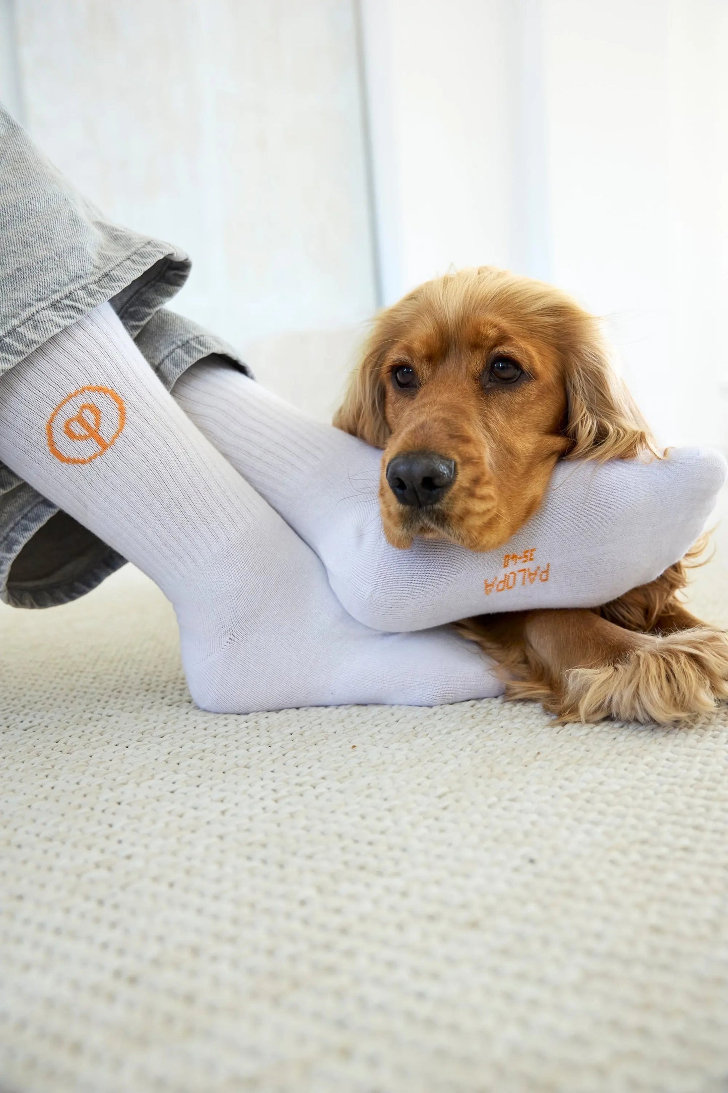 Palopa PALOPA Tennis Socken 3er Set - Logo Orange Blue Grey