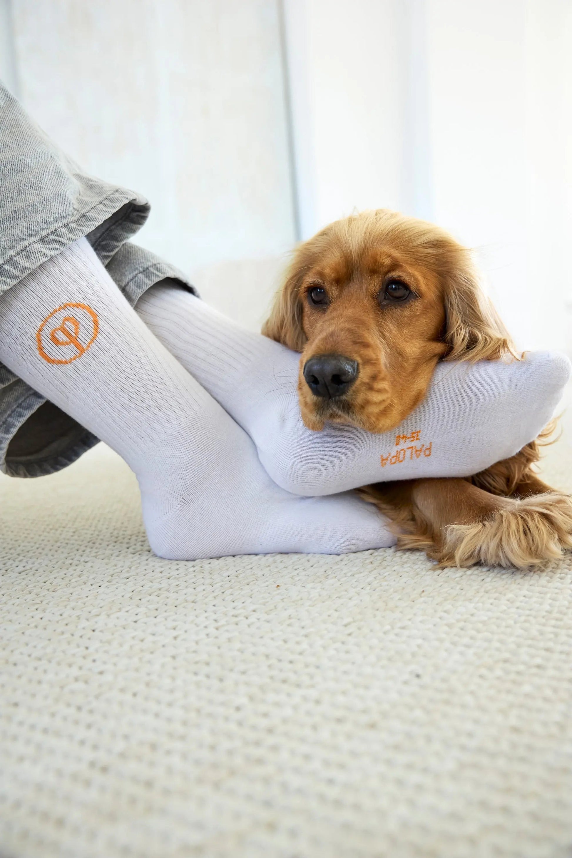 Palopa PALOPA Tennis Socken 3er Set - Logo Orange Blue Grey