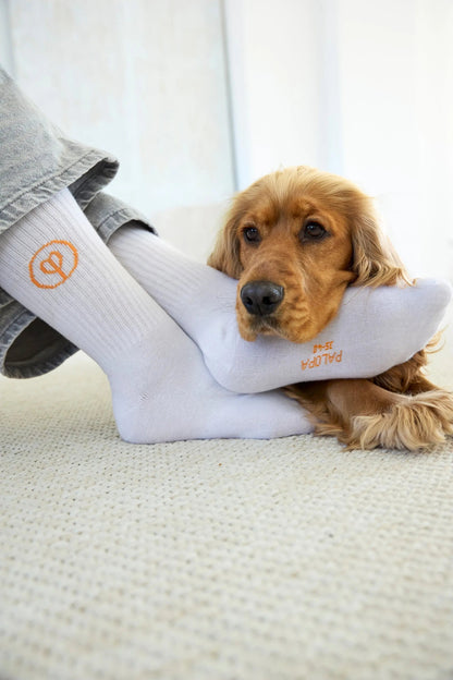 Palopa PALOPA Tennis Socken 3er Set - Logo Orange Blue Grey