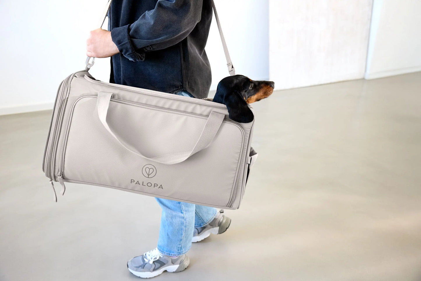 Palopa Hundetragetasche - Benno Taupe