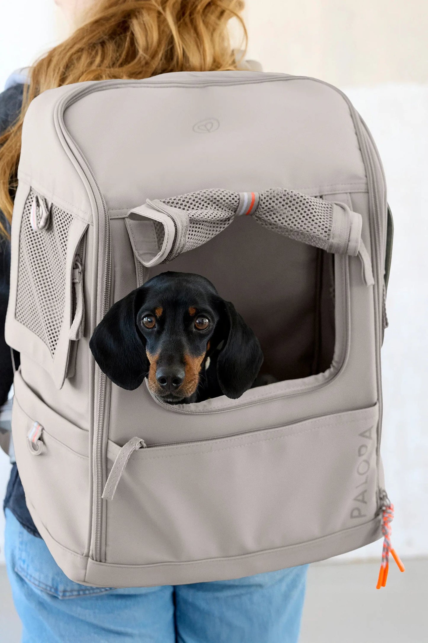 Palopa Hundetragerucksack - Kari Taupe