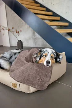 Hundedecke M - Mathilda in Walnuss -PALOPA