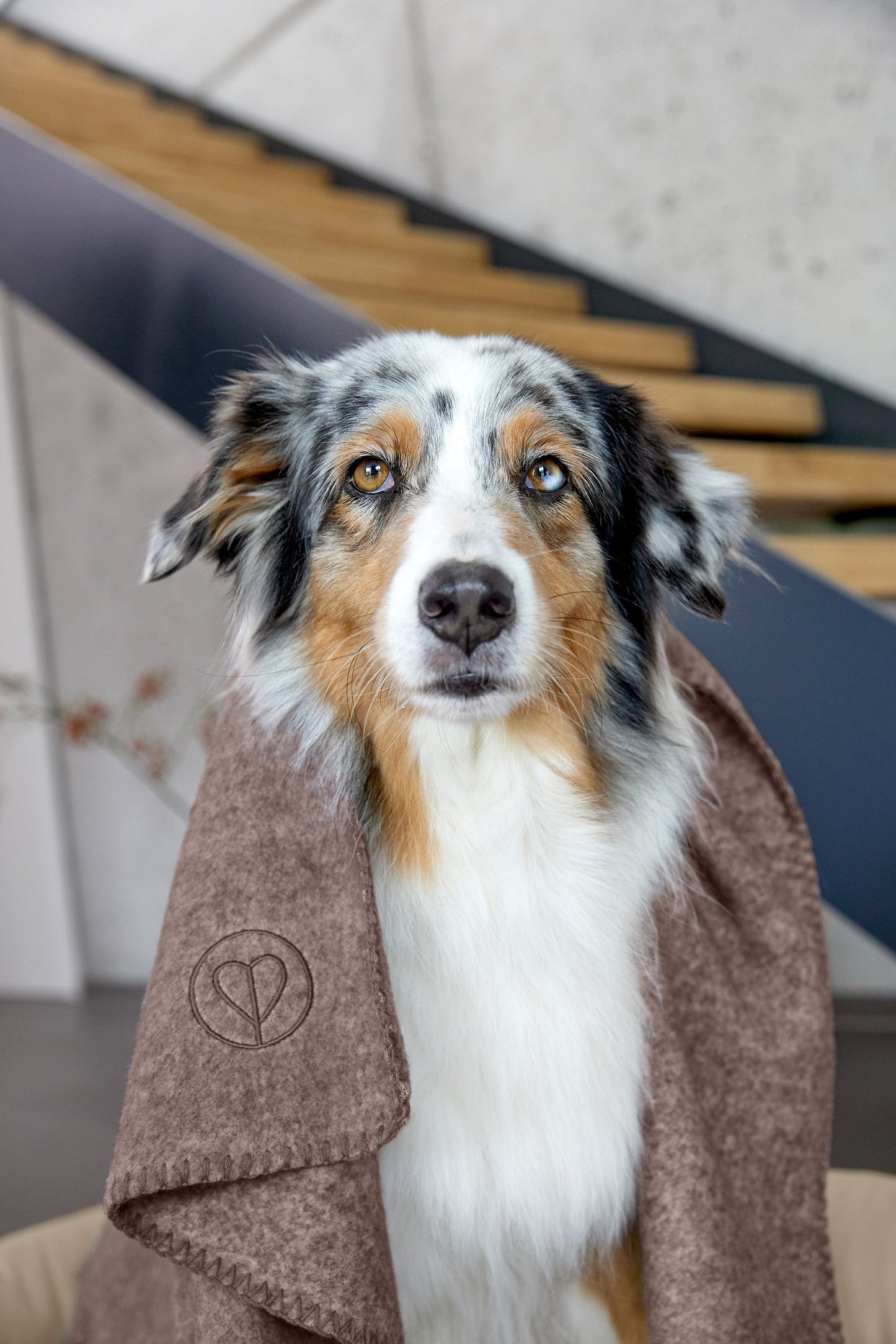 Palopa Hundedecke M - Mathilda Walnuss