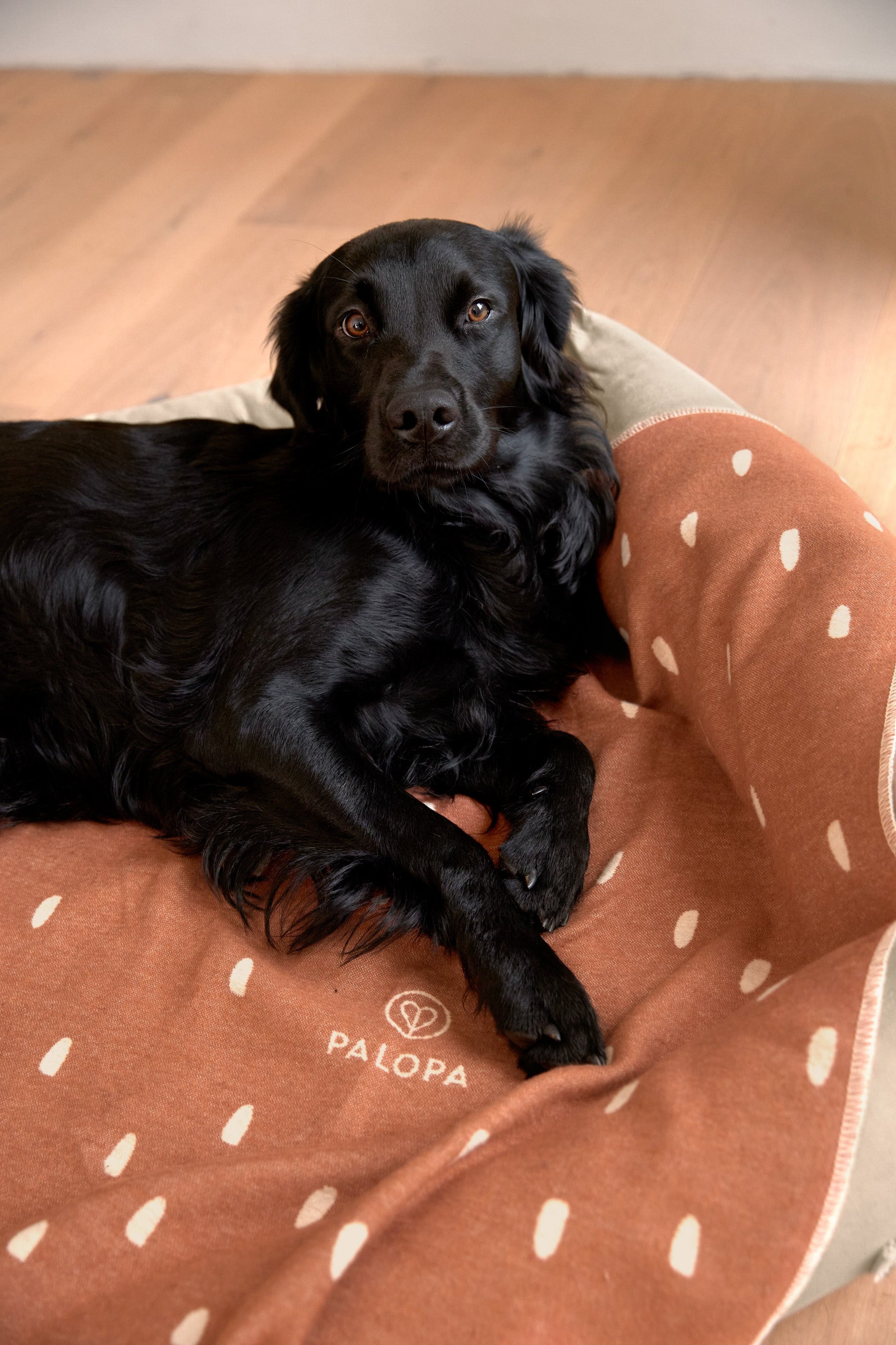 Palopa Hundedecke M - Ida Punkte Zimt Milchig