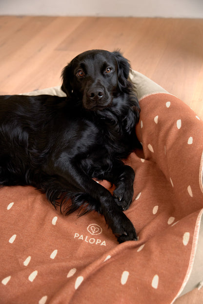 Palopa Hundedecke M - Ida Punkte Zimt Milchig