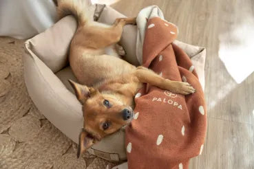 PALOPA Hundebett Fred Humus Baumwolle beige nachhaltig | einfachschoen