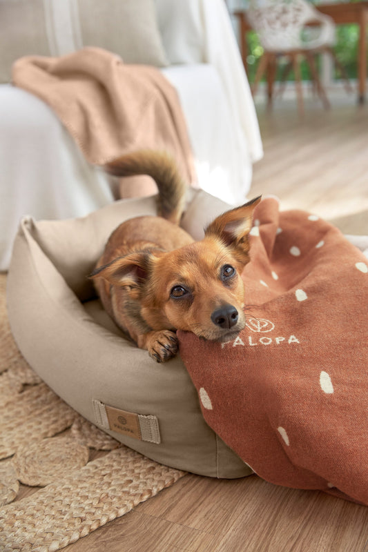 Palopa Hundedecke M - Ida Punkte Zimt Milchig