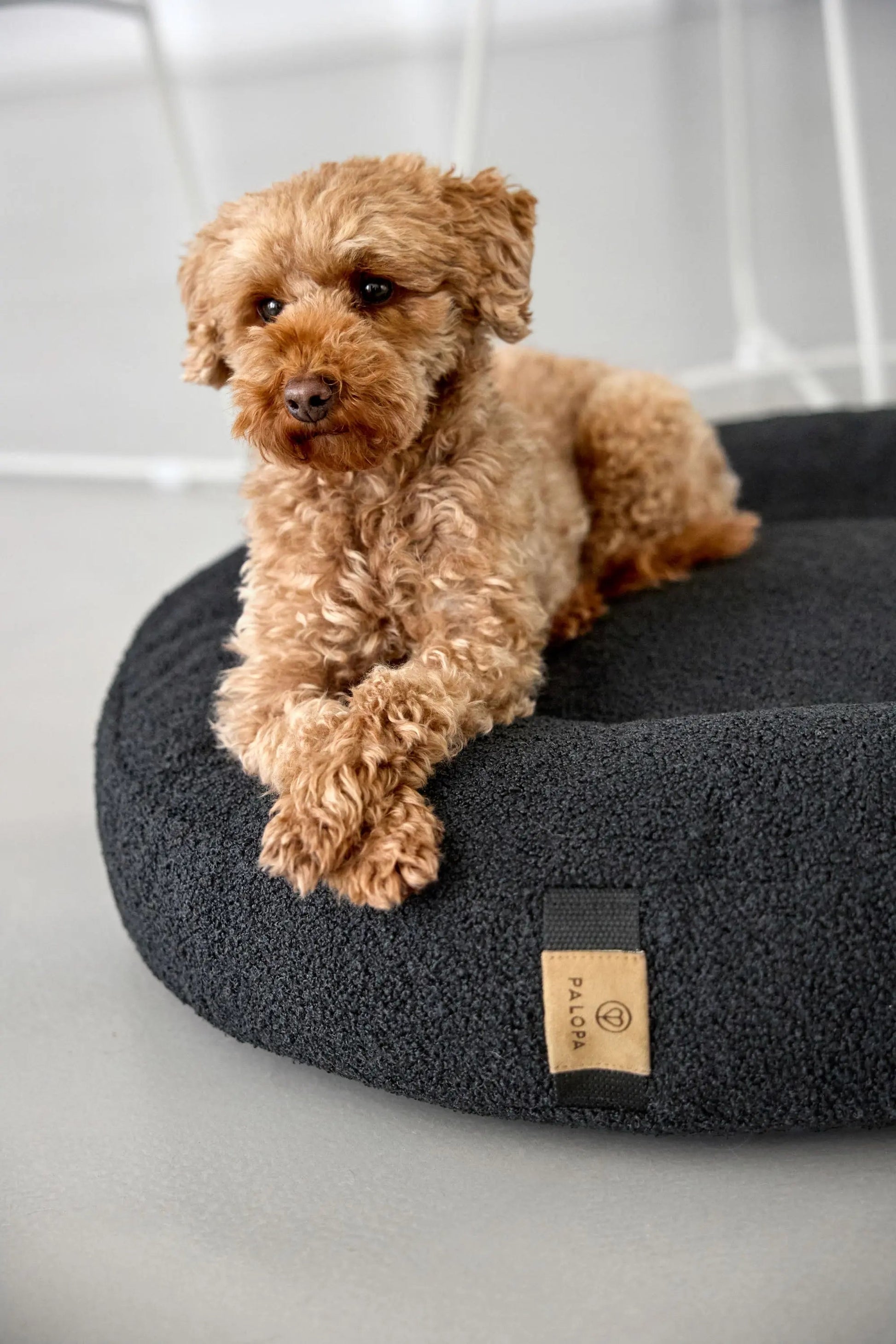Palopa Hundebett Rund - Fippa Schwarz