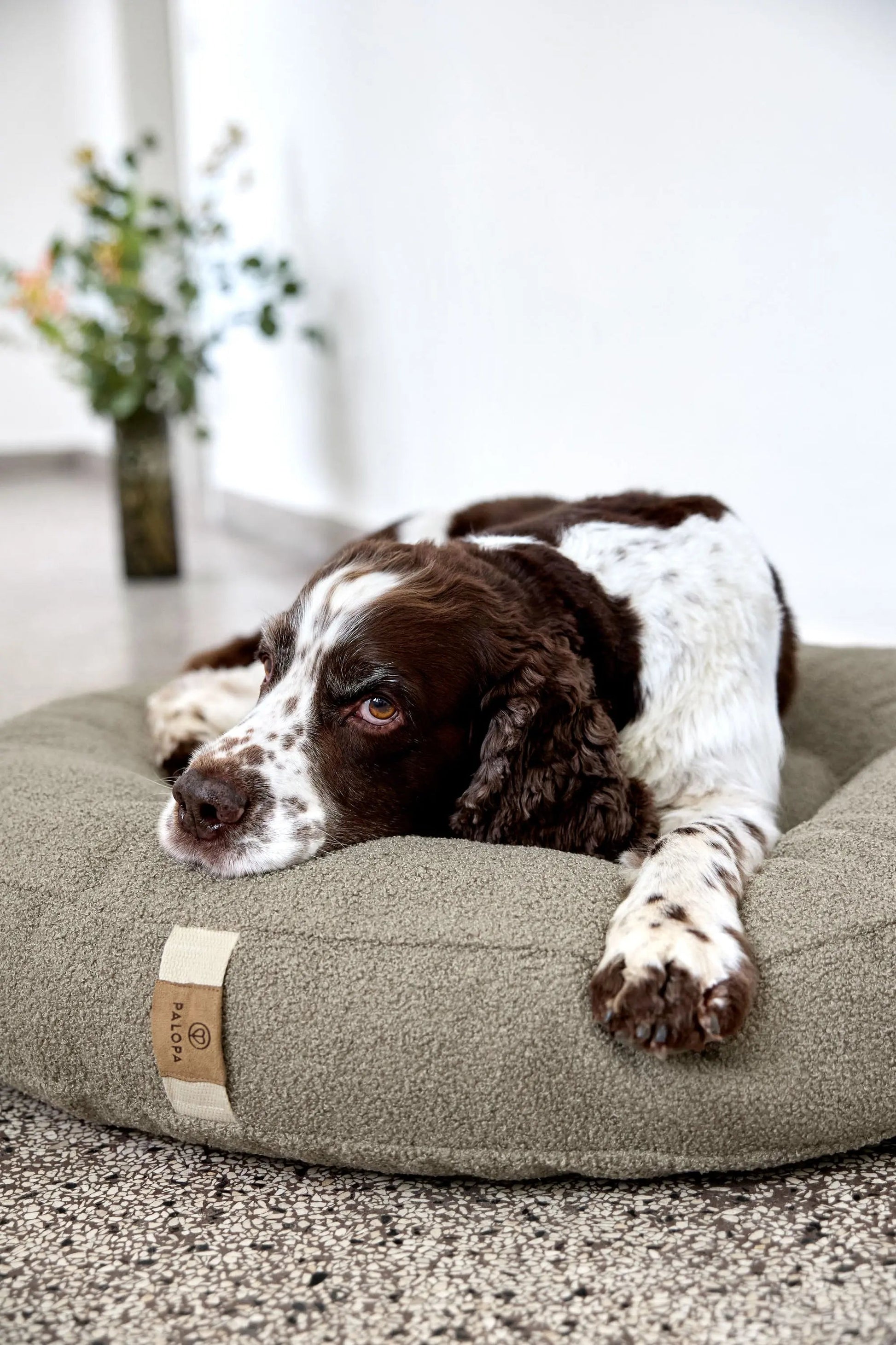 Palopa Hundebett Rund - Fippa Taupe Grau