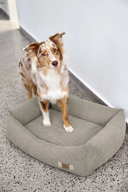 Palopa Hundebett Baumwolle - Fred Grau