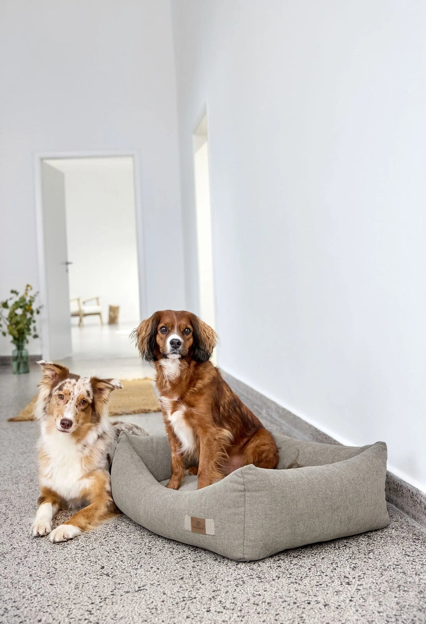 Palopa Hundebett Baumwolle - Fred Grau